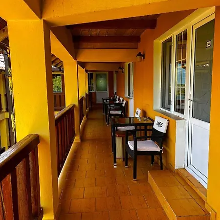 Guest house Alga 3*