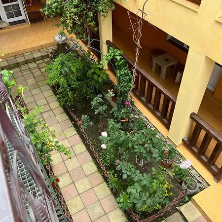 Guest house Alga Sulina