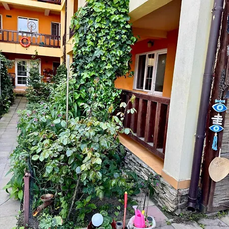 Guest house Alga Sulina