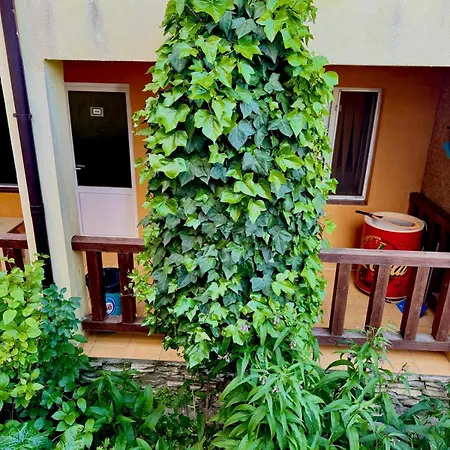 Guest house Alga