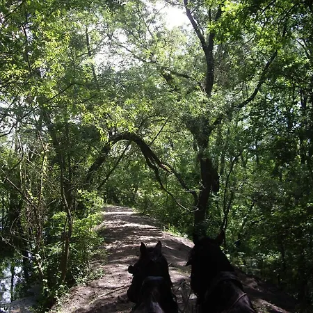 Alga Gæstehus Sulina