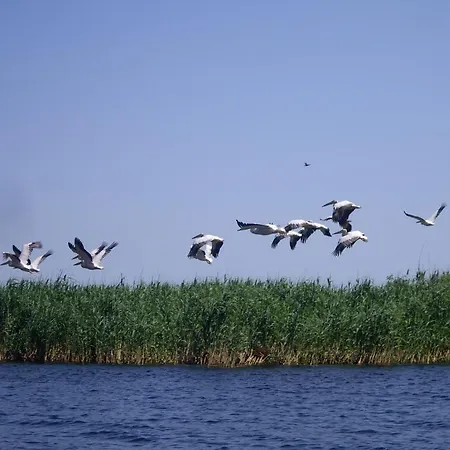 Alga Vendégház Sulina