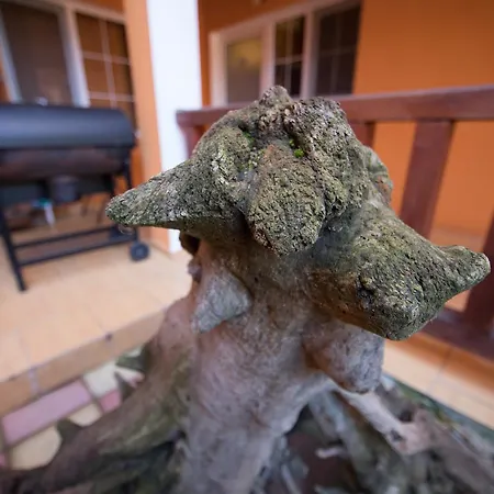 Gæstehus Alga Sulina