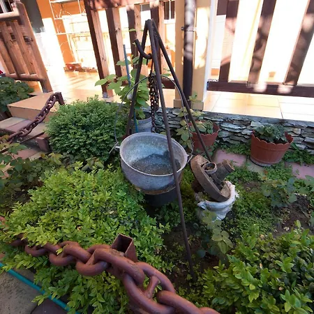 Gæstehus Alga Sulina