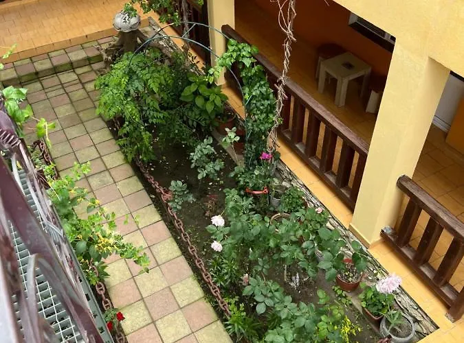 Guest house Alga Sulina