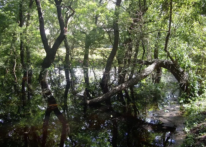 Guest house Alga Sulina