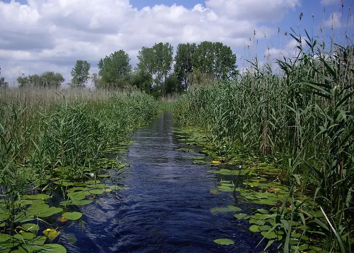 Guest house Alga Sulina