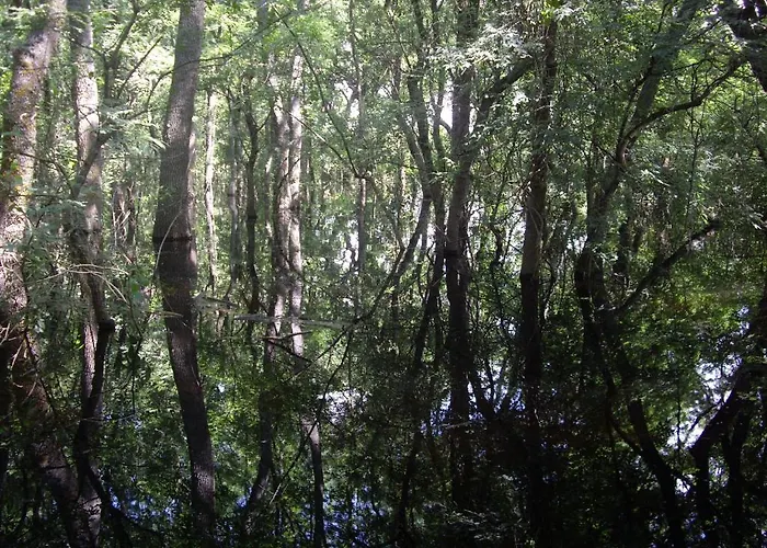 Guest house Alga Sulina