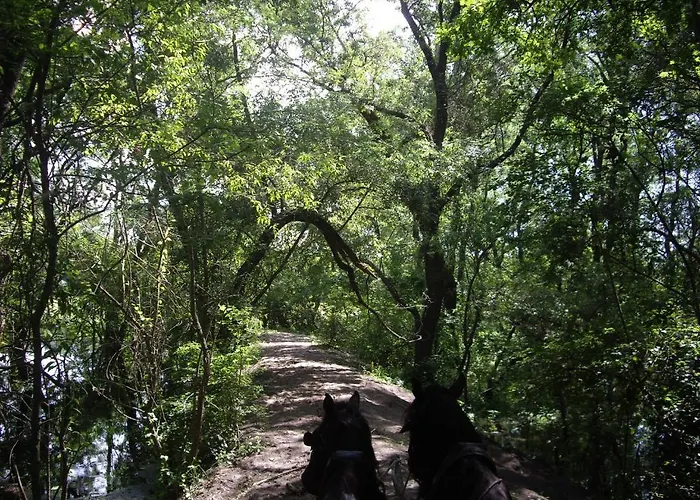 Alga Guest house Sulina