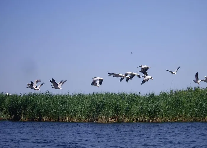 Alga Guest house Sulina