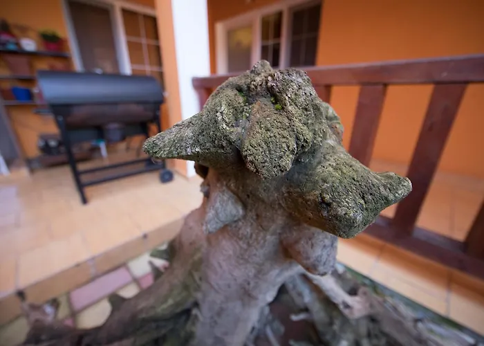 Guest house Alga Sulina