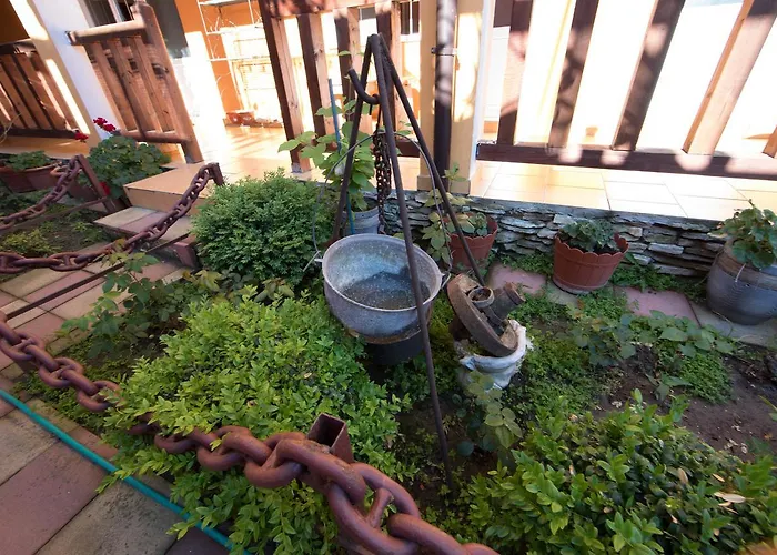 Guest house Alga Sulina